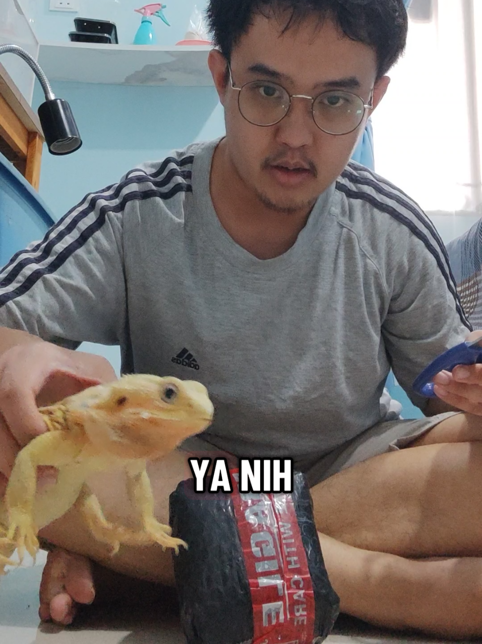 @Nicholas Seah