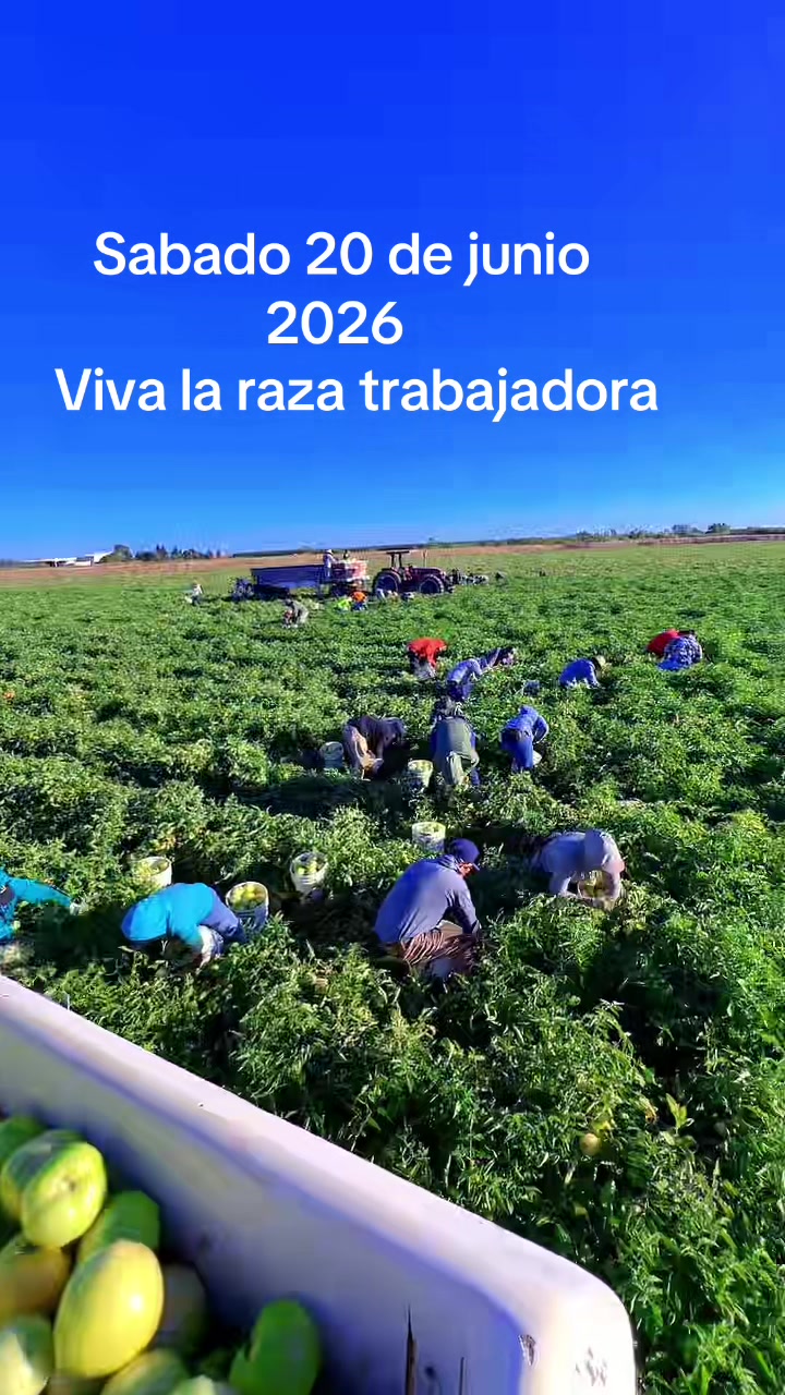@blanco10