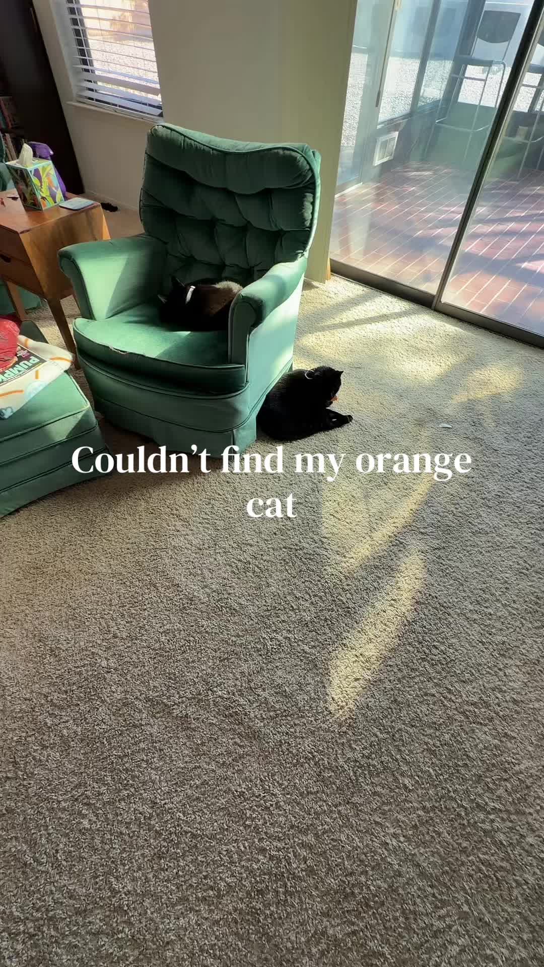 @witchnxtdoor97