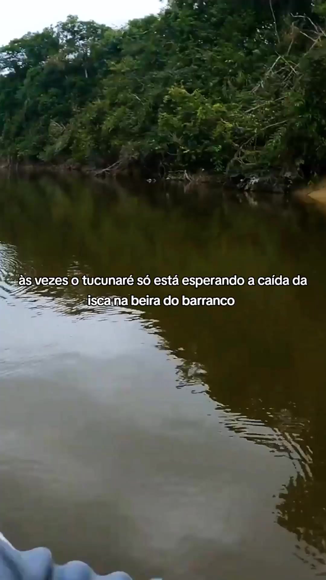 @Pesca Careiro
