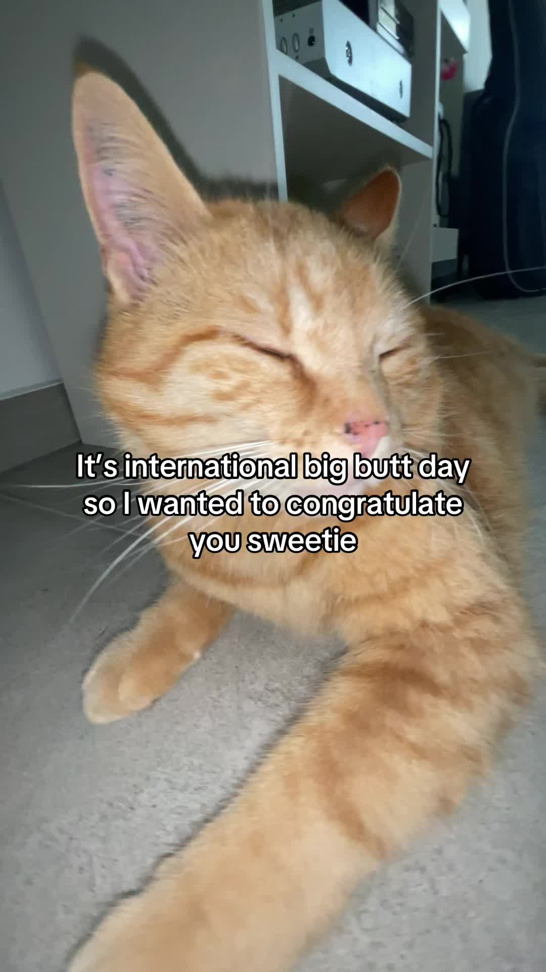 @Simba