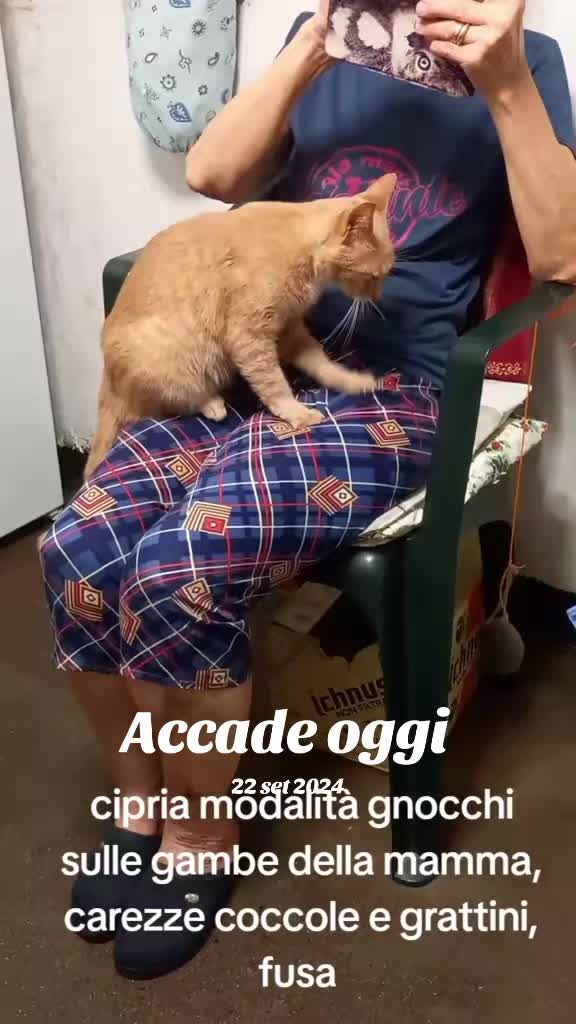 @Angelo74