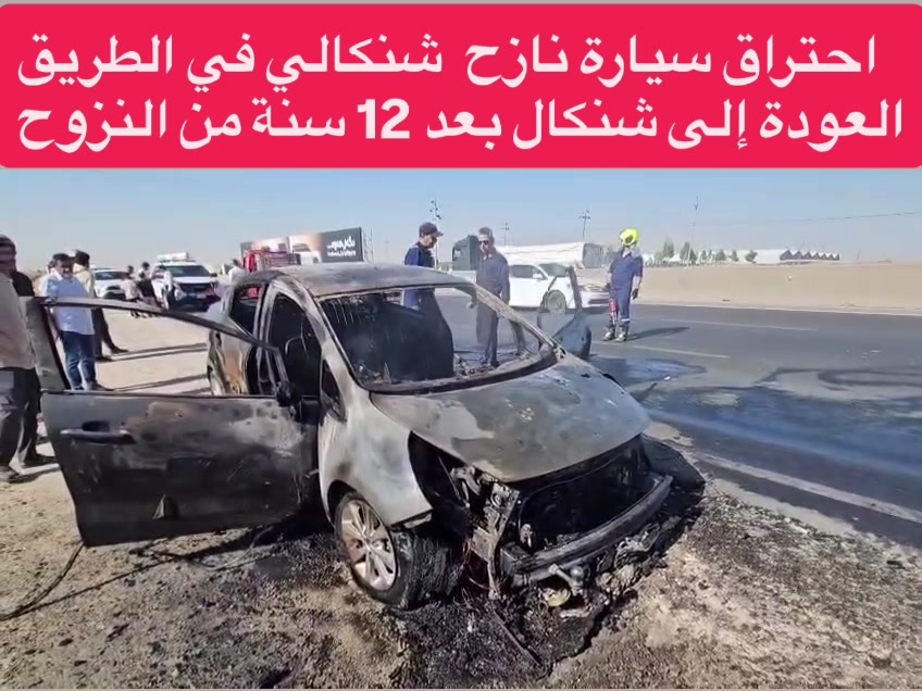 @shingal_1