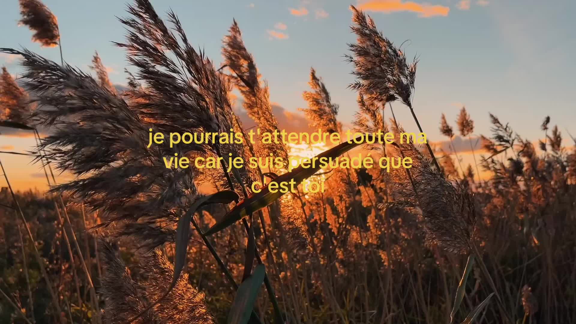 @Pour vos republication