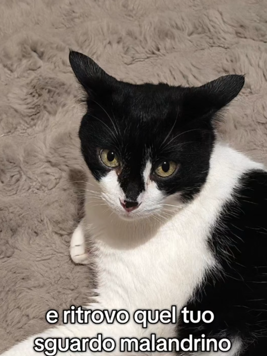 @Caterina P.