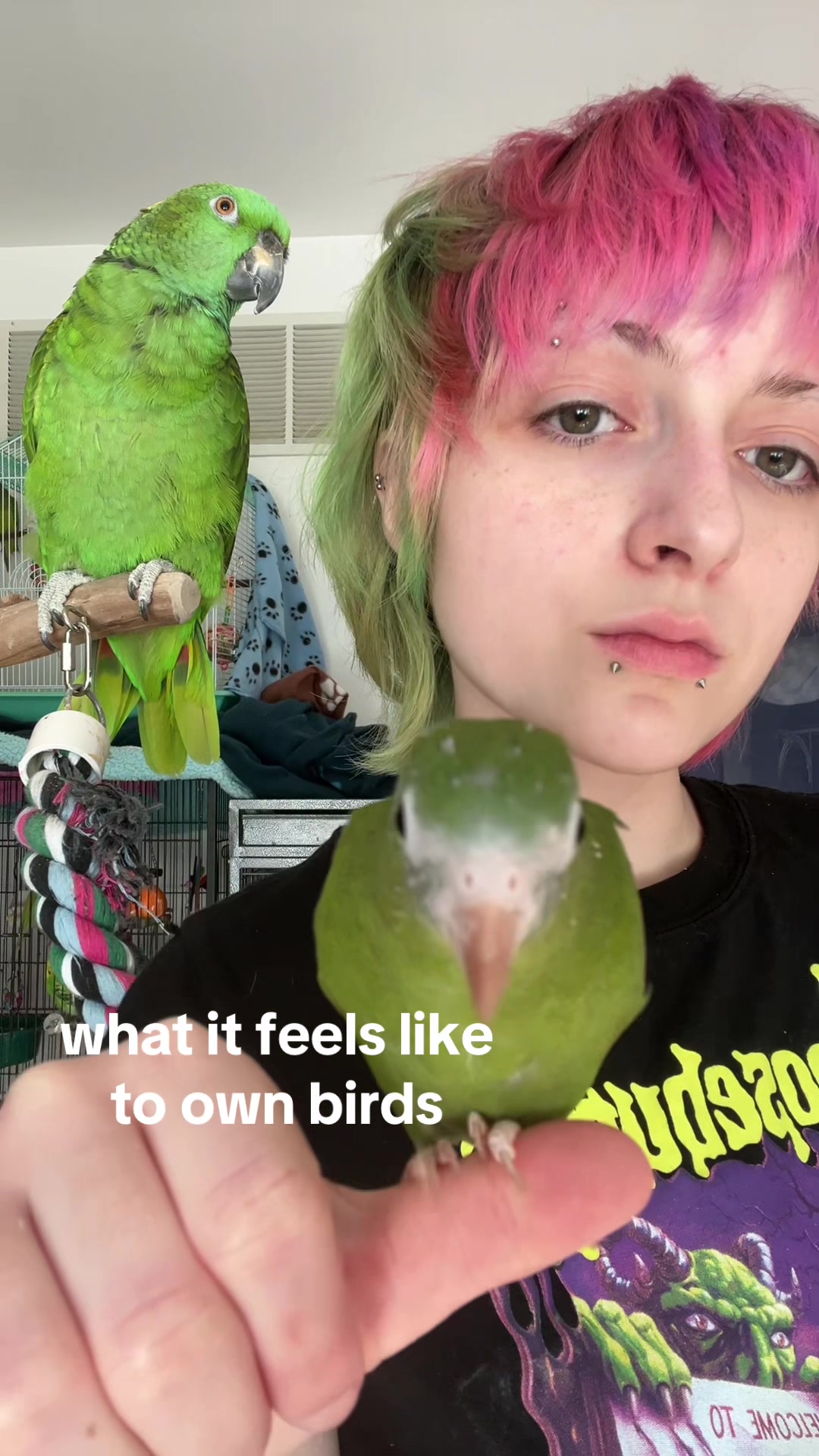 @🪦