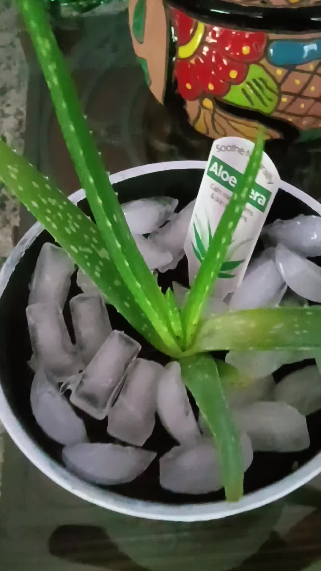 @Kickenupdust2
