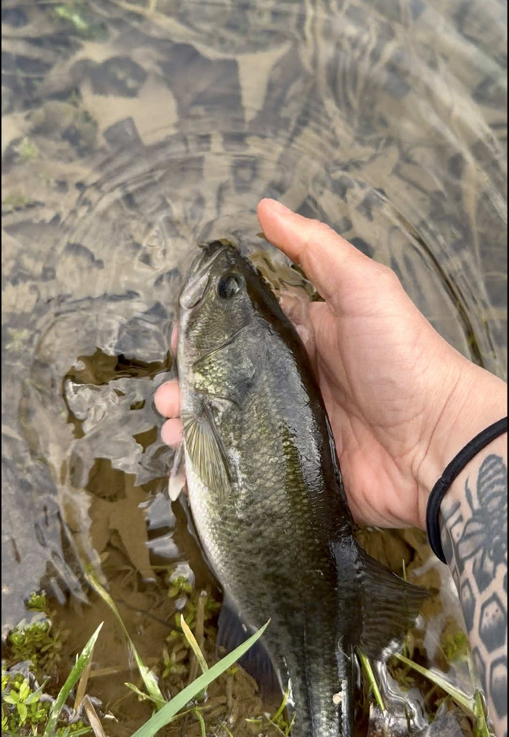 @Fishin_With_B