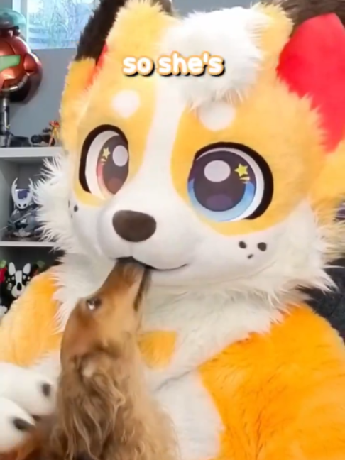 @rufen