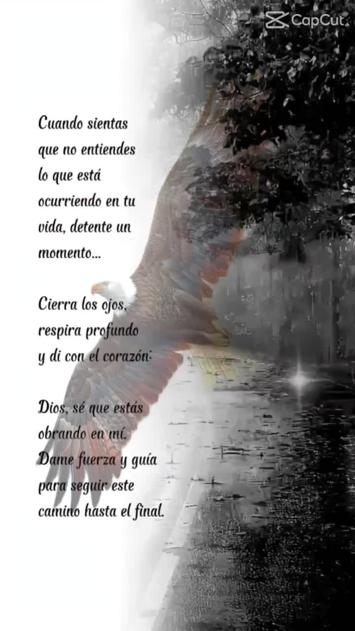 @Apc. 🙏 Dios es Amor❤️🌹
