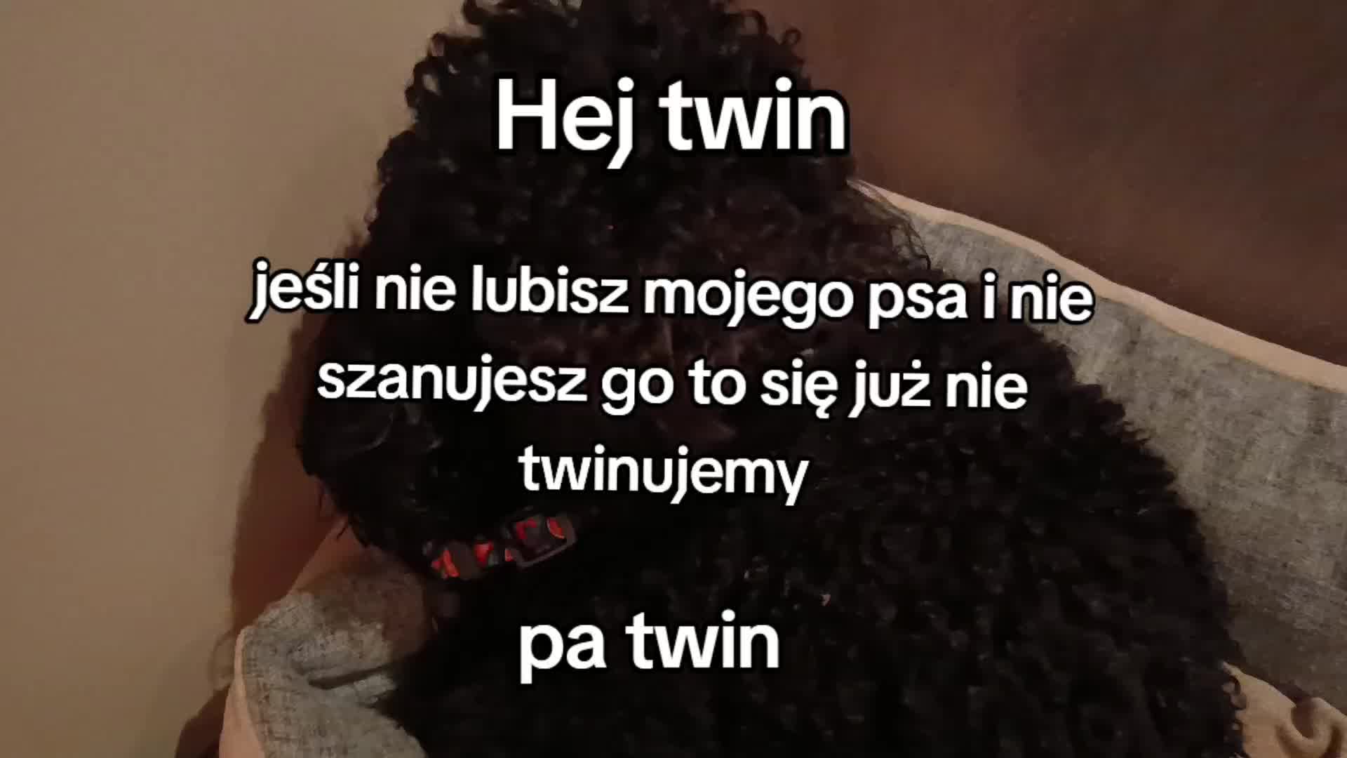 @🔥💯zvziaa_horse💯🔥