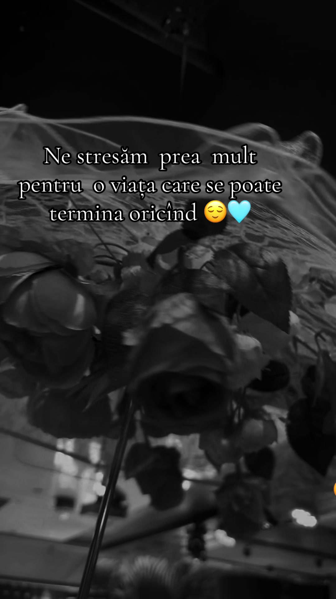 @Alina