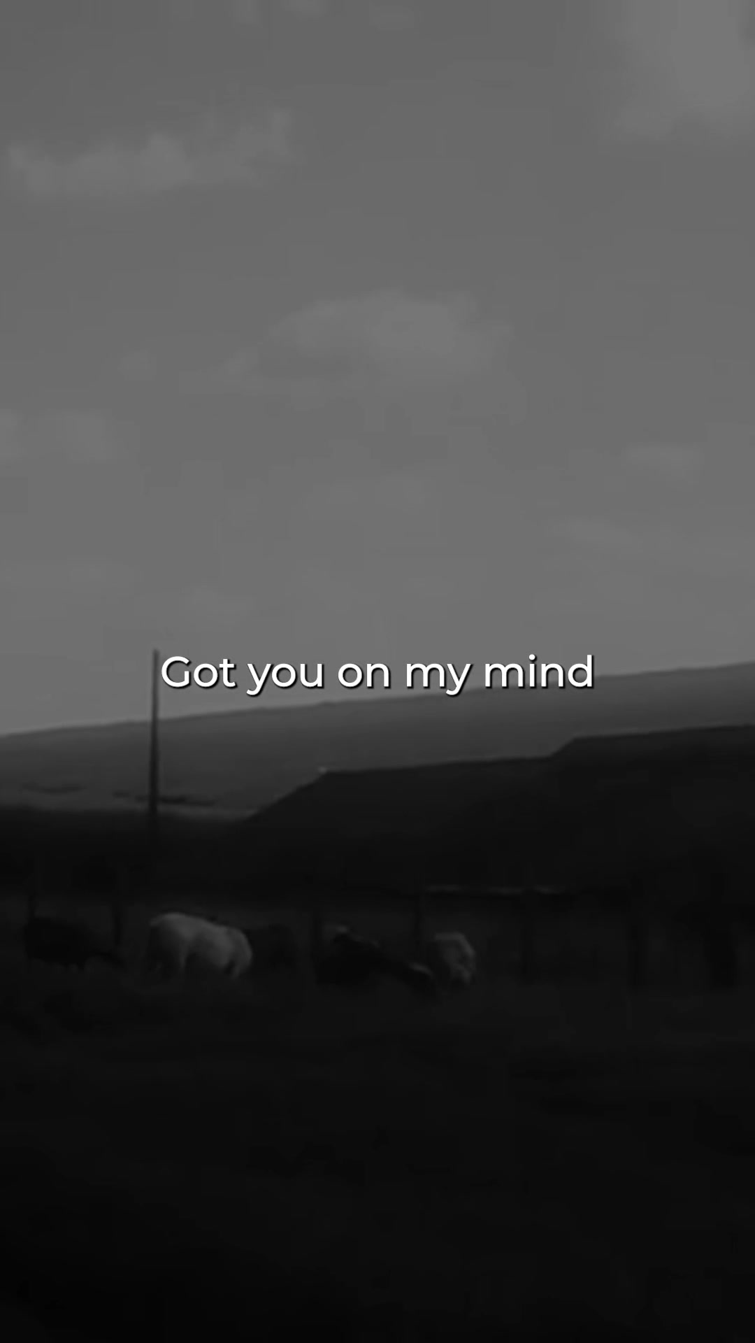 @NF Lyrics