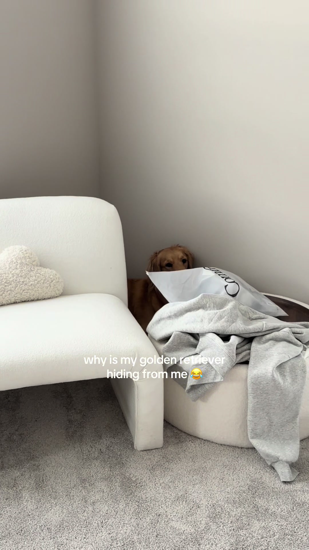 @novathegoldenn
