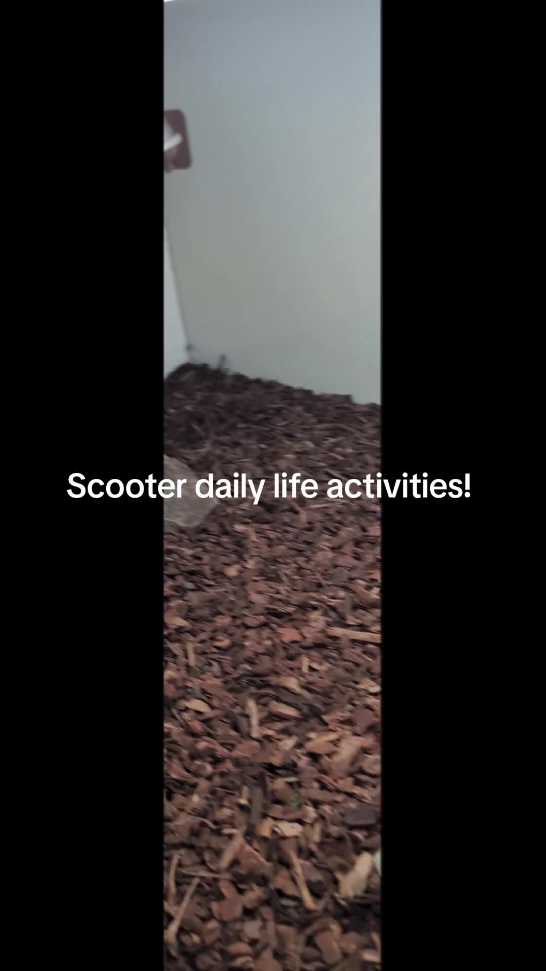 @Odehappy30