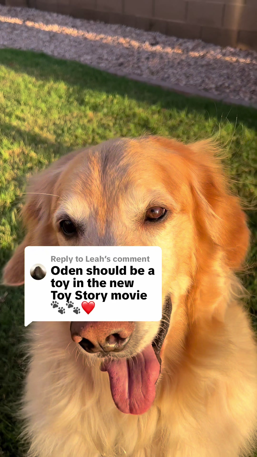 @Oden