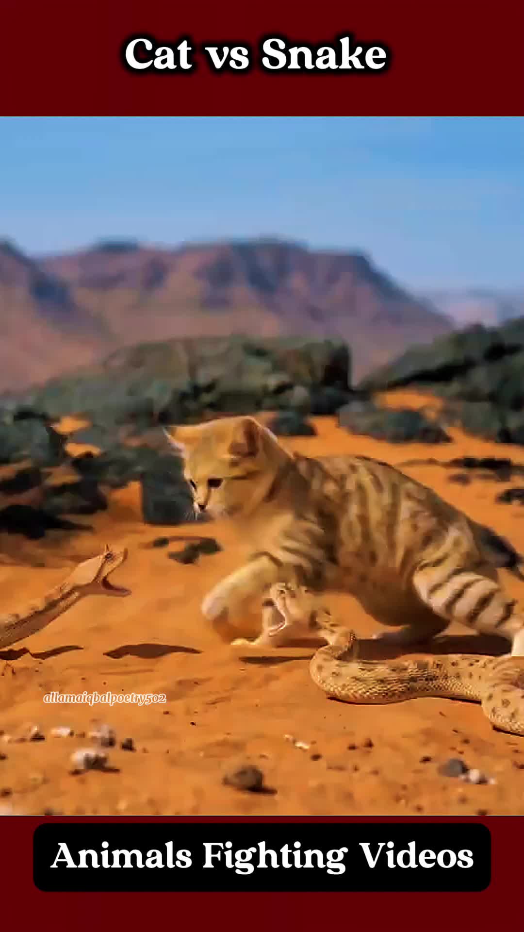 @.