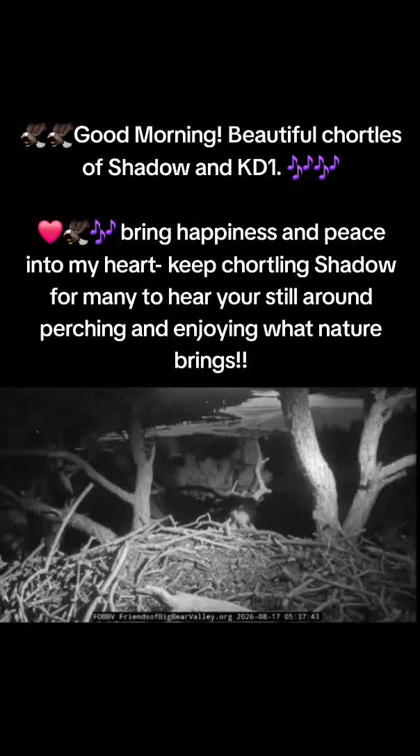 @Bri._.All