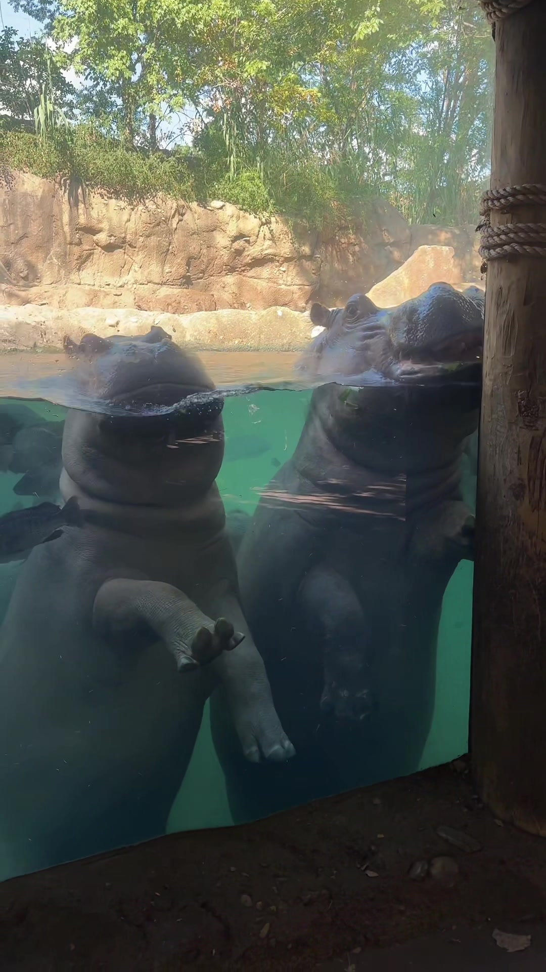 @Cincinnati Zoo