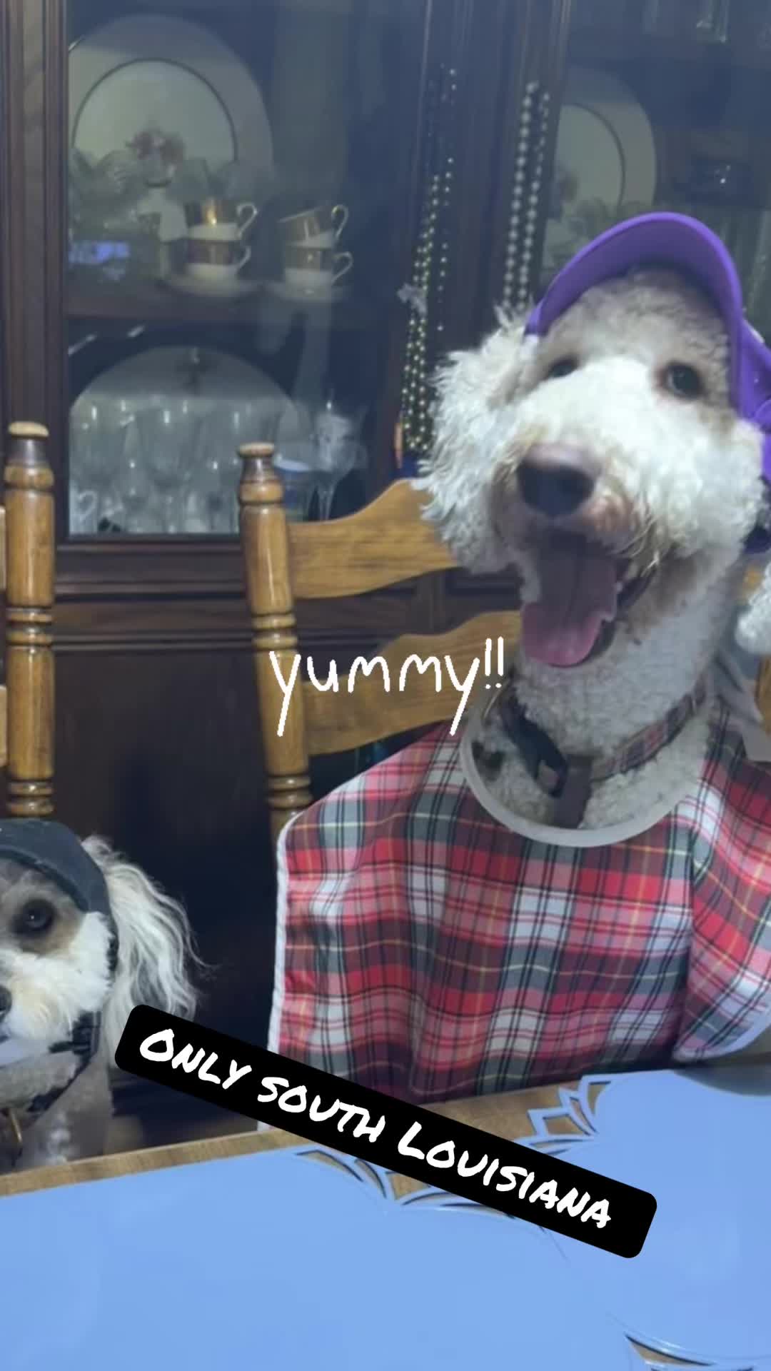@bigdoodleandlittledoodle
