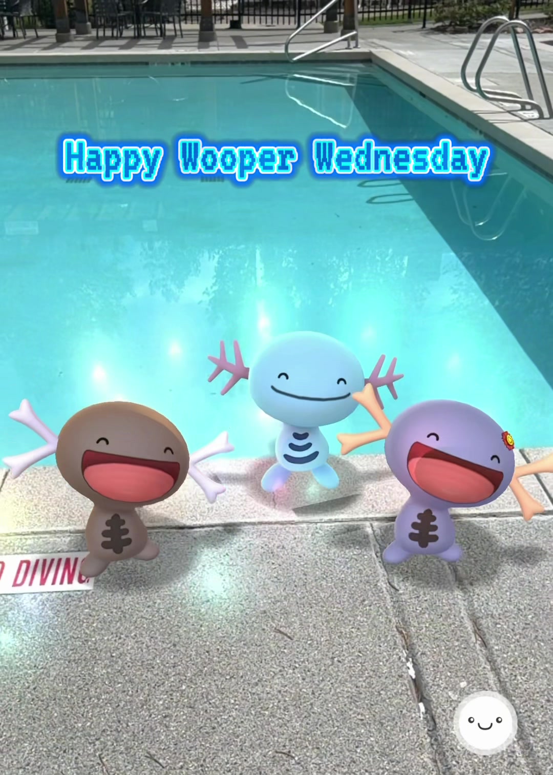 @The Wednesday Wooper
