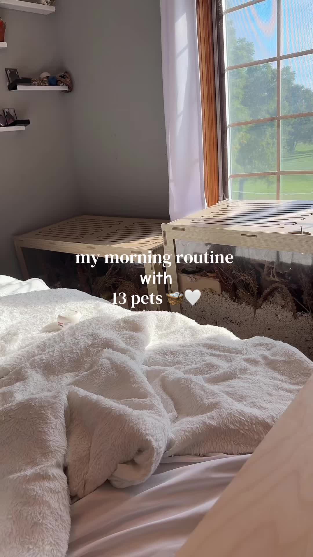 @alexa🤍🐾