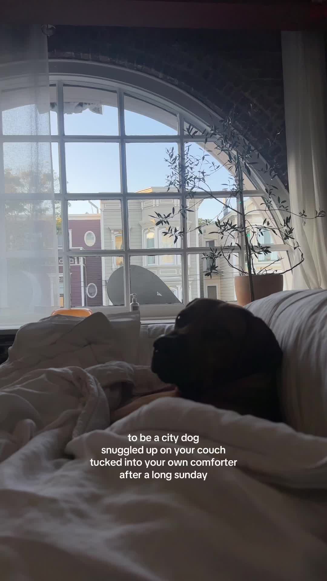 @Emily