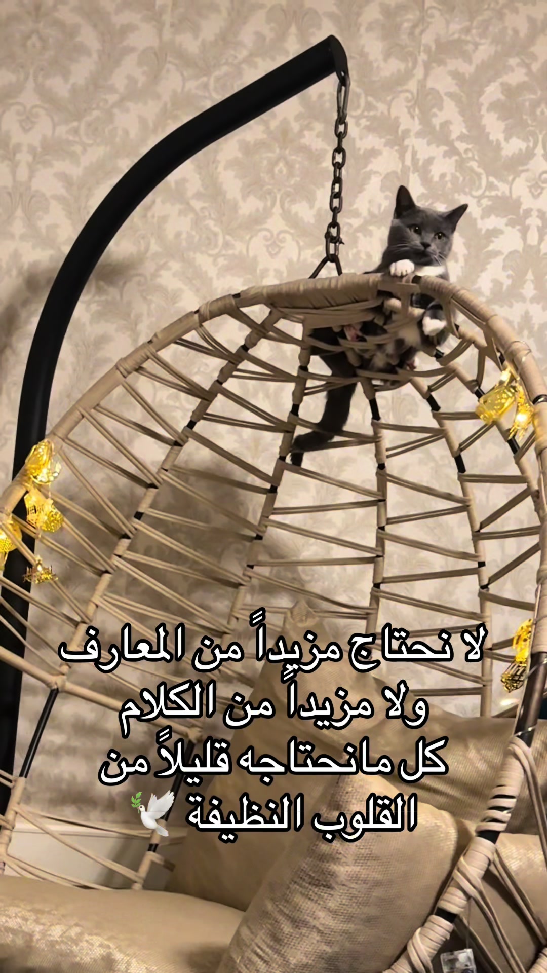 @بنت الساحل 🌺