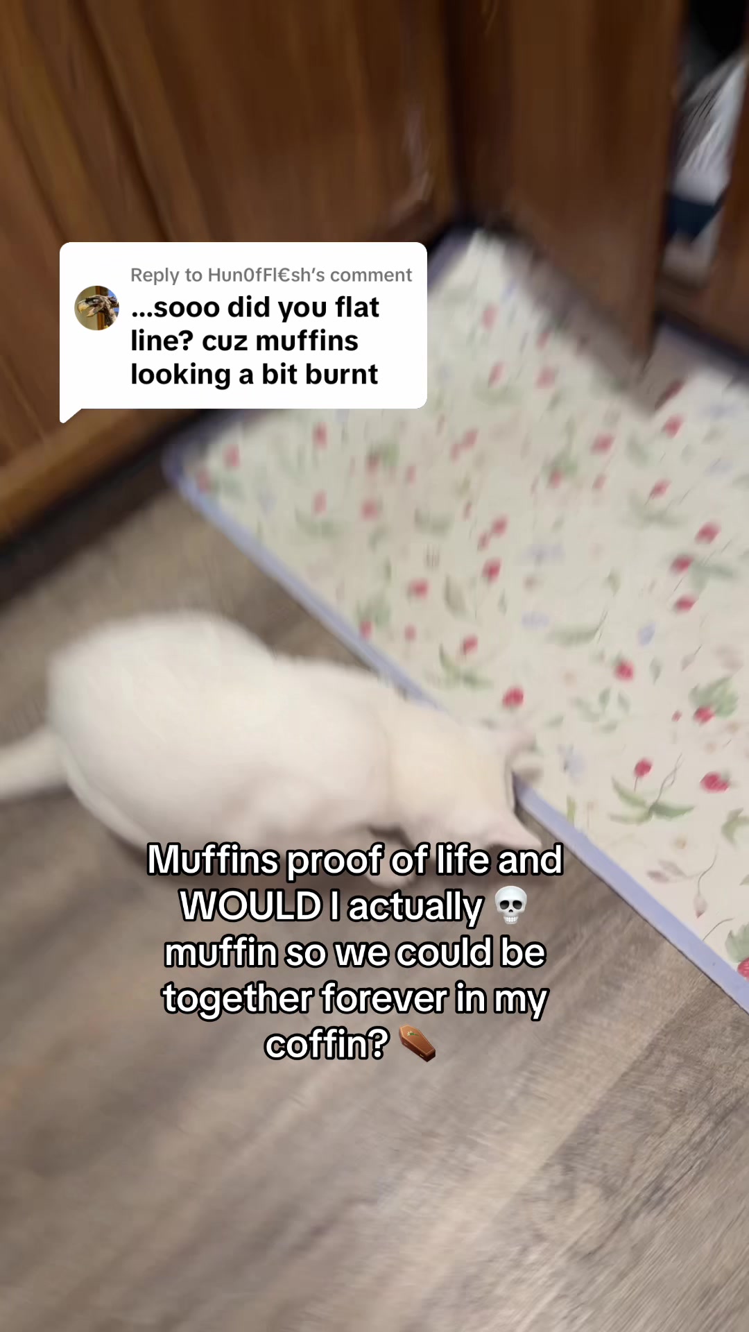 @Bre and muffin