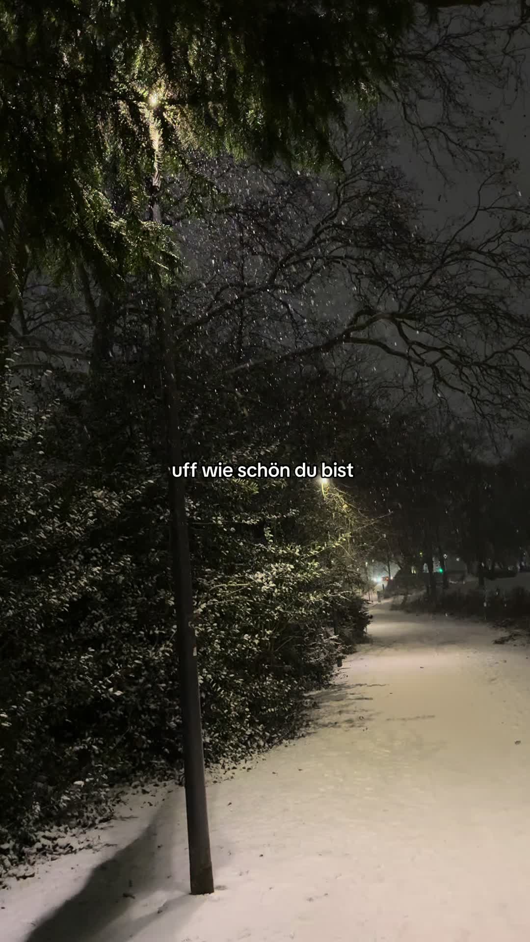 @︎ ︎