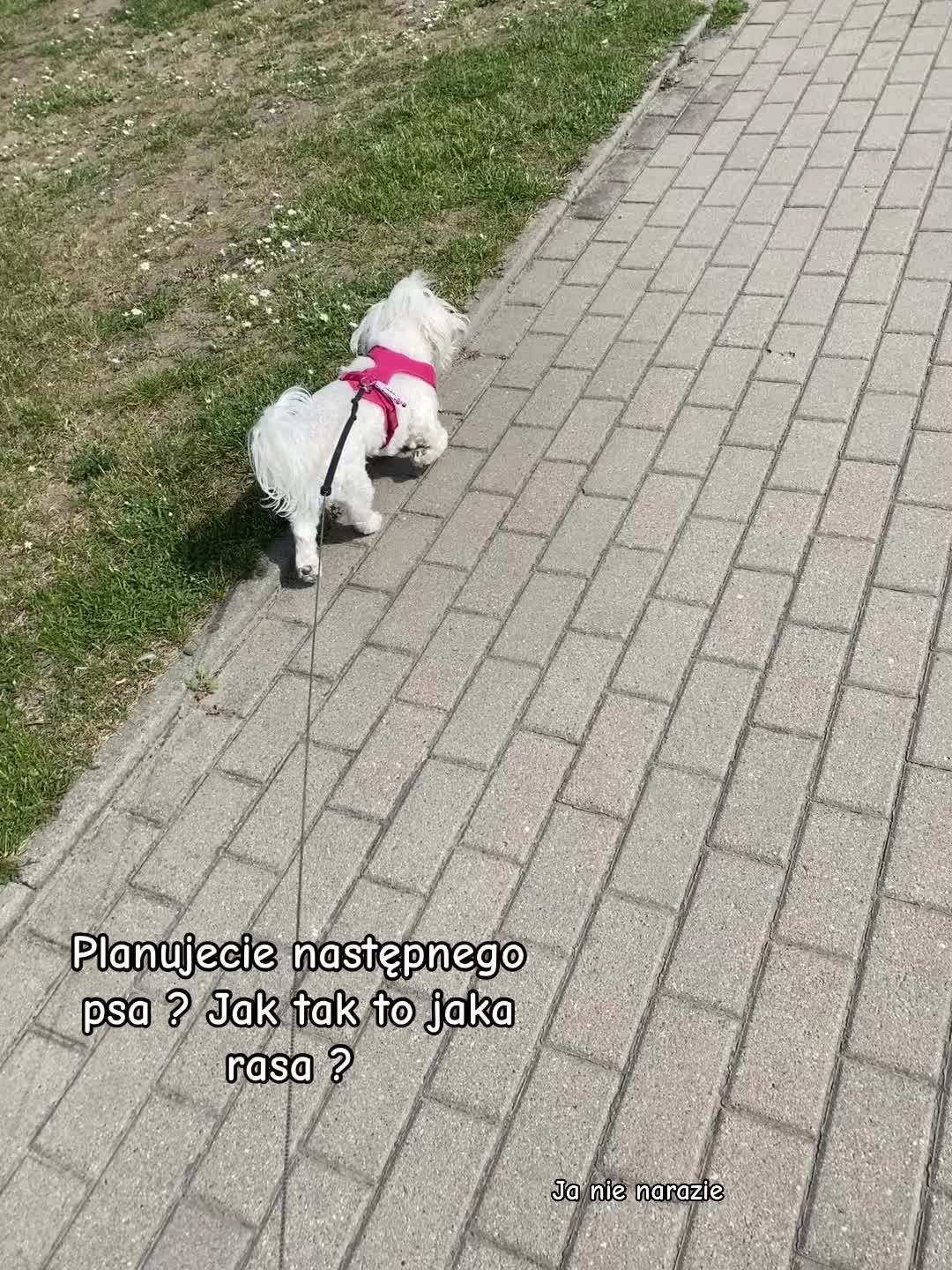 @โ๐ฉ๐๐๐๐๐&๐๐๐๐๐๐ชโ