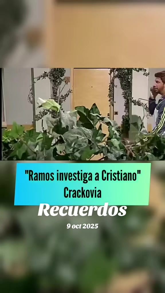 @INFOFUT