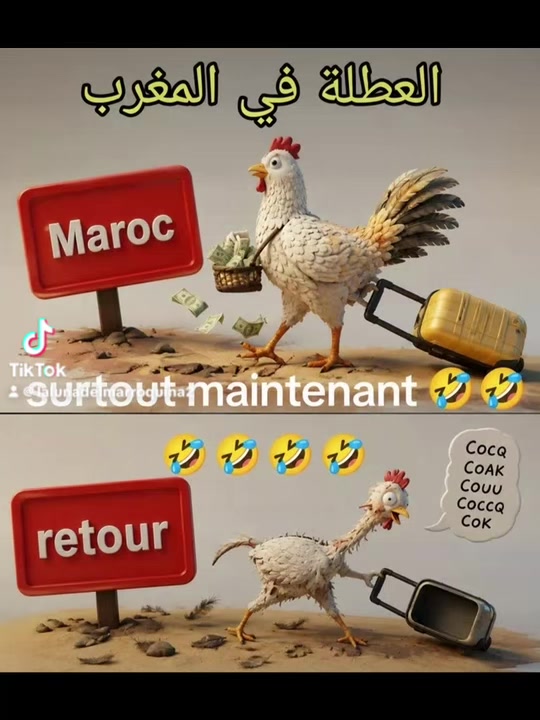 @hodnaleo: ⴱⵡⴷⵏⴰ ⵉⵣⵎ