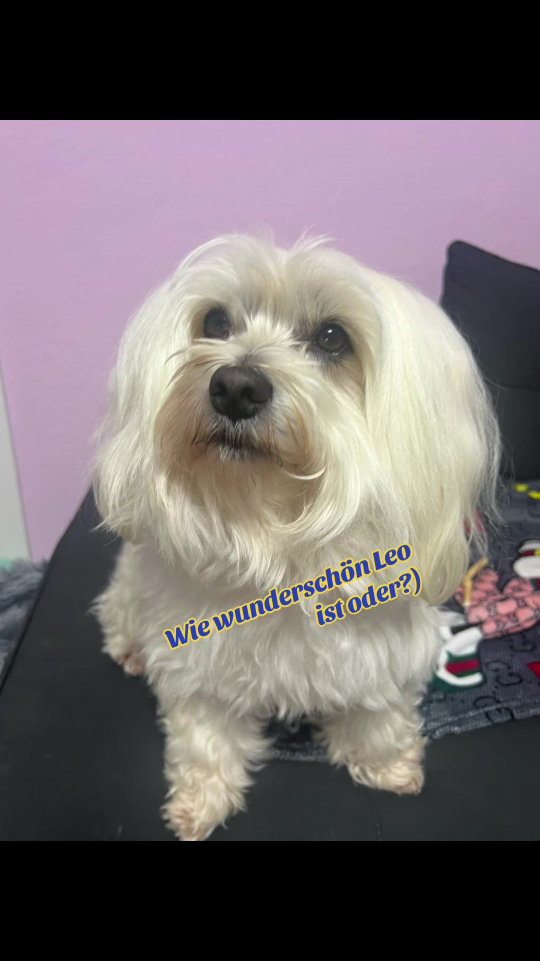@Fl&ouml;ckchen