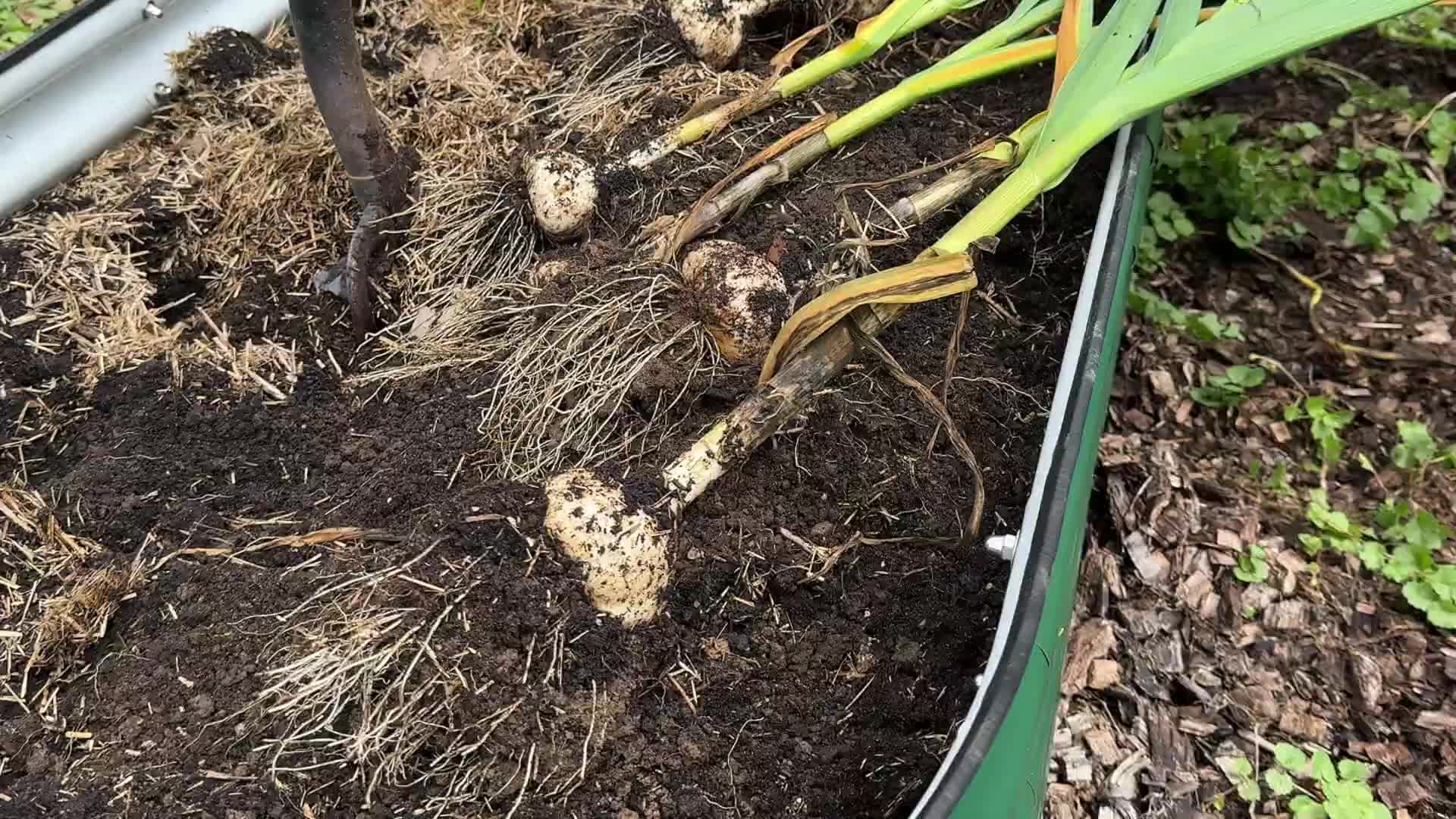 @Farmer 🧑&zwj;🌾
