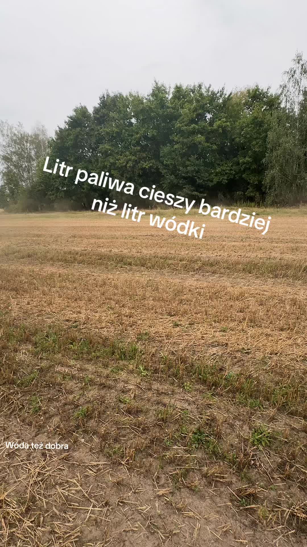@Quadowiec Z Afryki