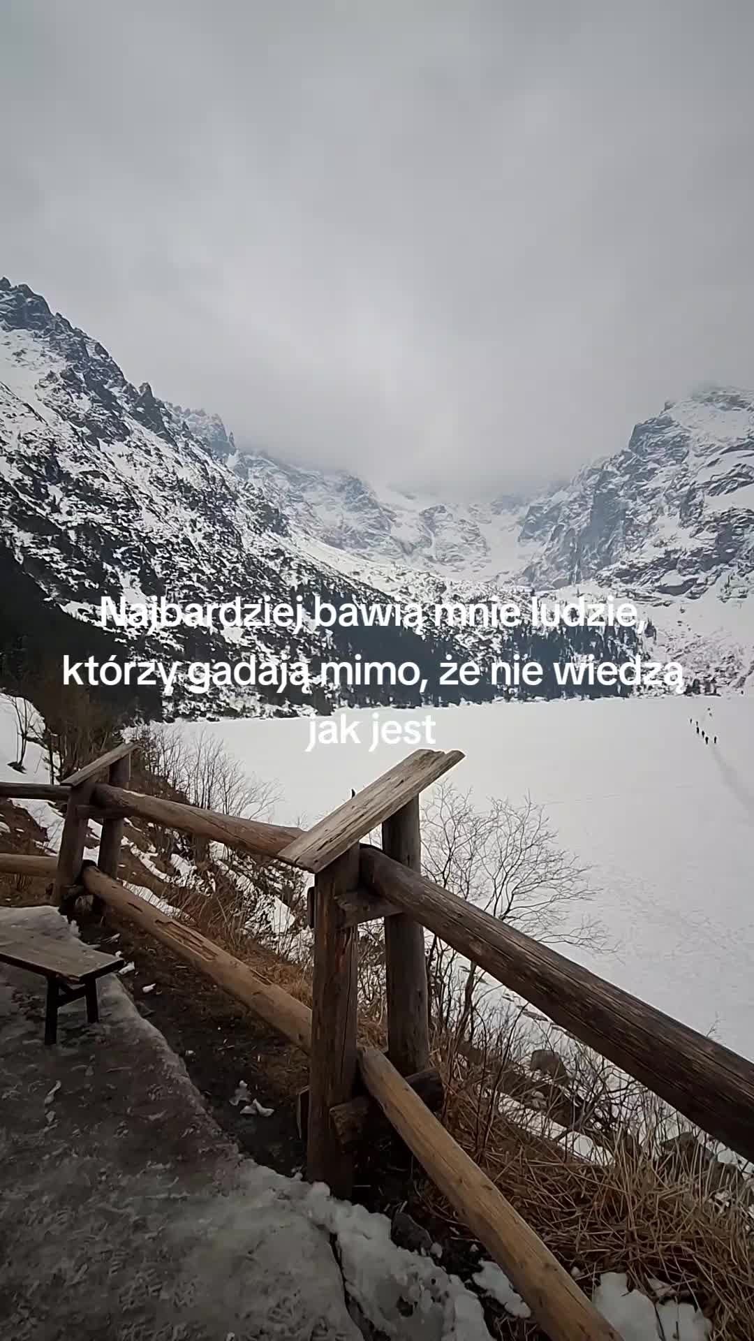 @janior01