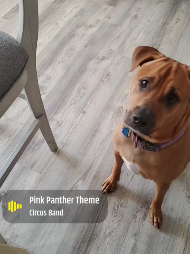 @Kane the friendliest Pit