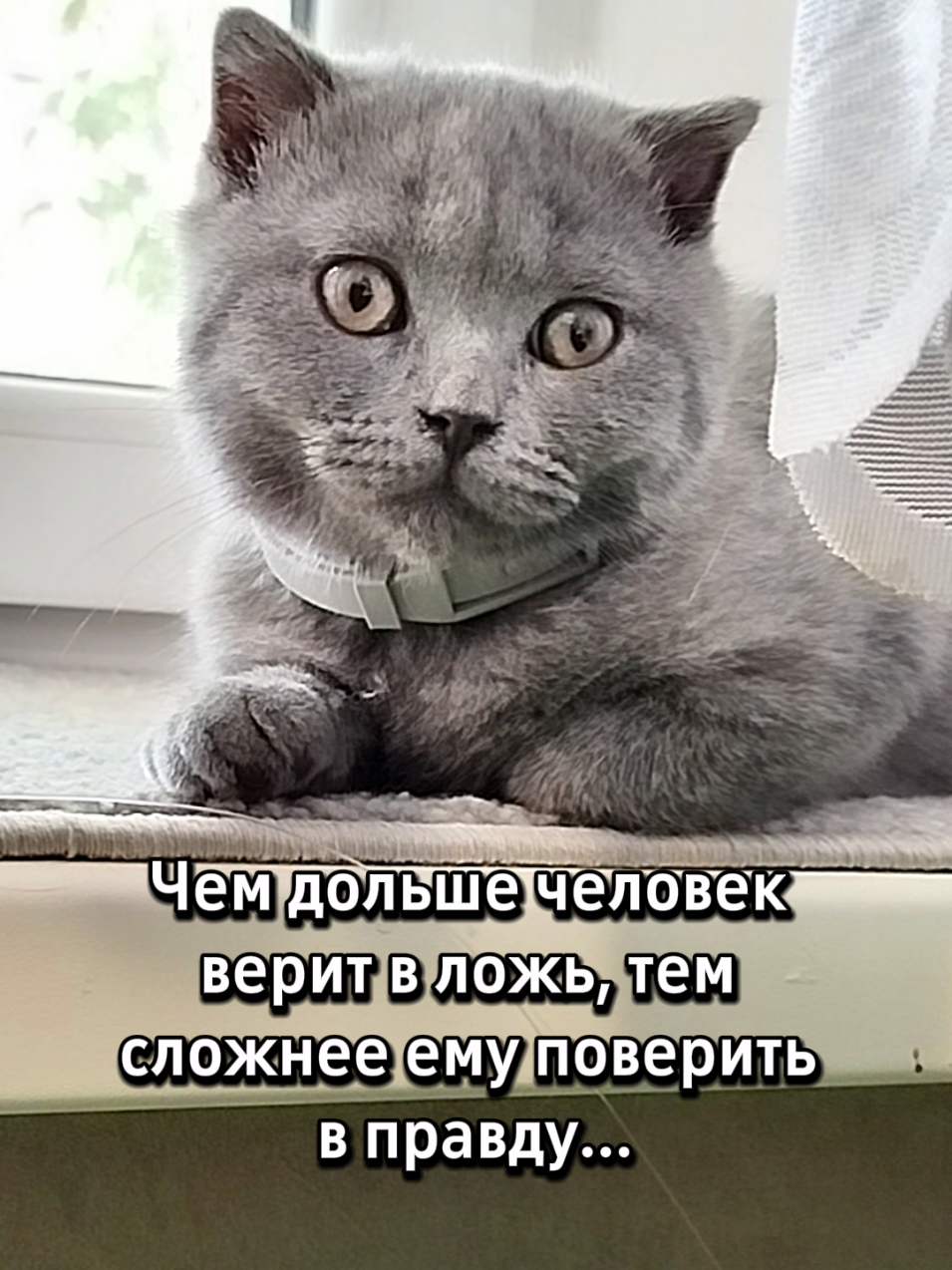 @😻Риччи&Джесси🐈Масик👼&Андрей