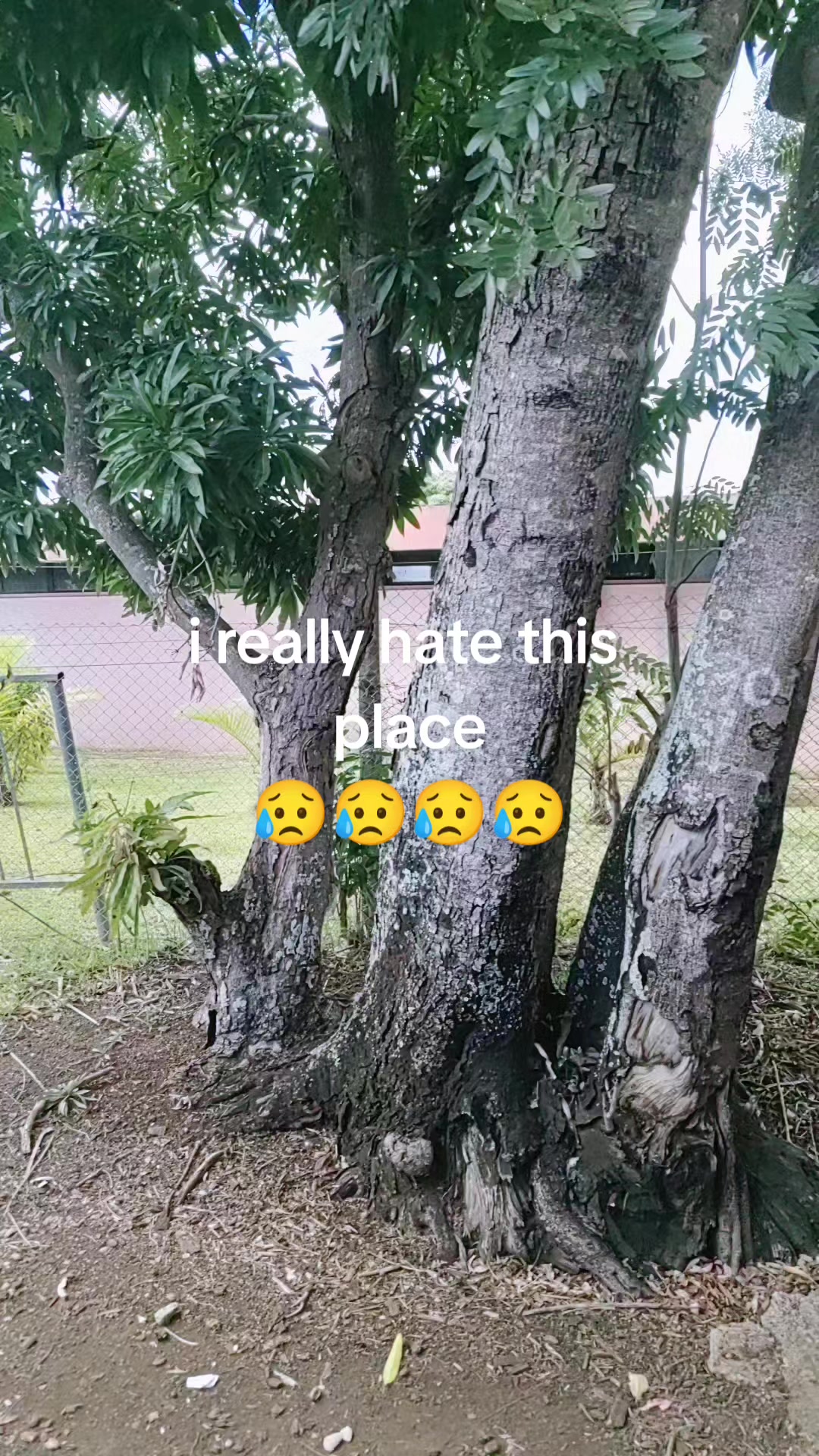 @🍁🍁var🍁🍁