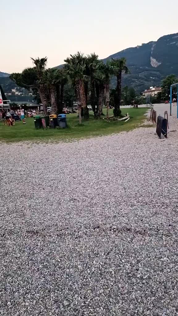 @Timoce Silviu