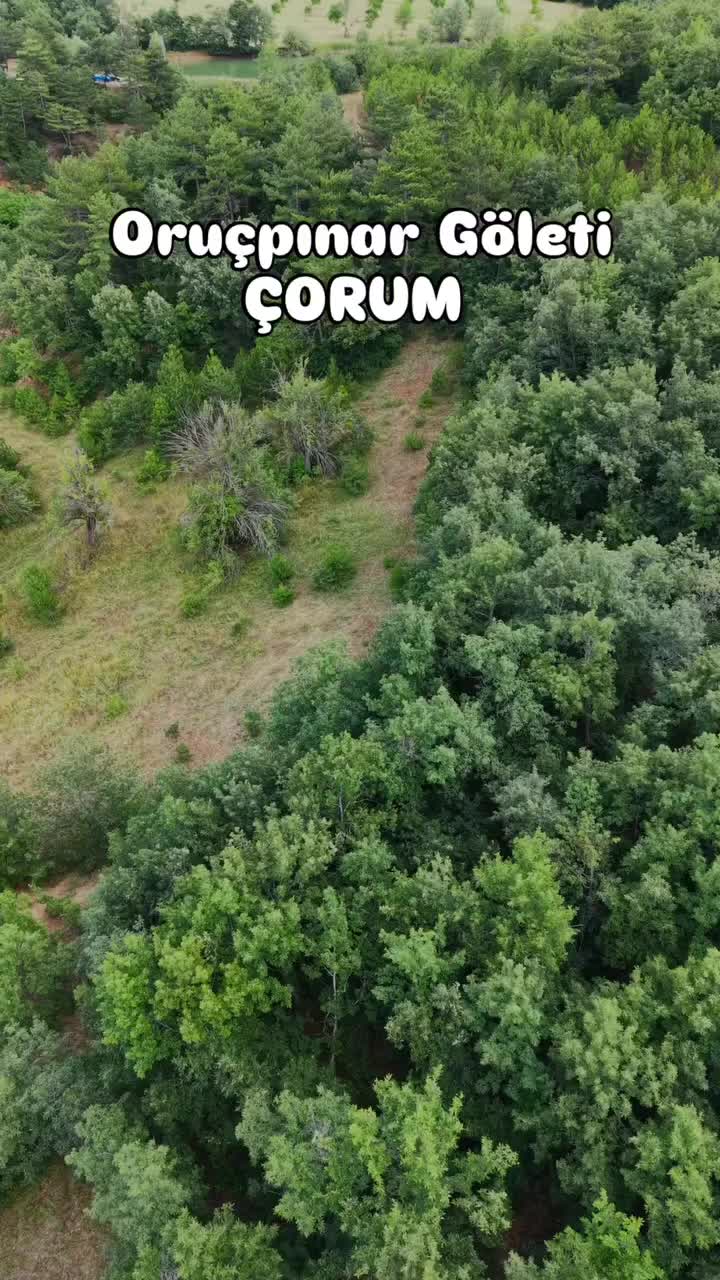 @Avrupadaki_Corumlular_19