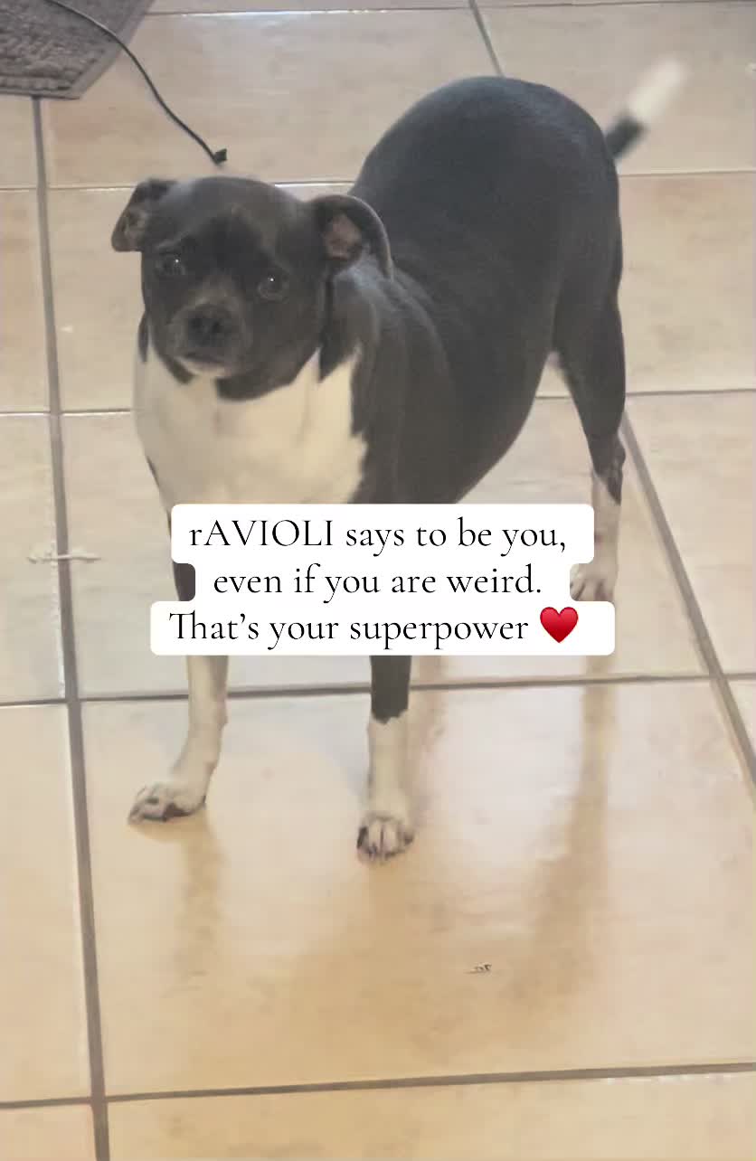 @ravioli.linguini
