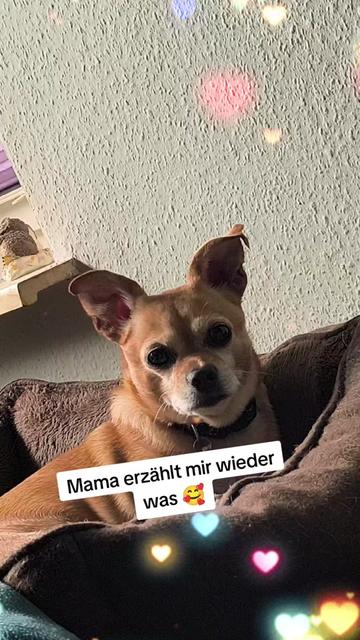 @🏳️🌈Kathi❤️Milow🐕❤️