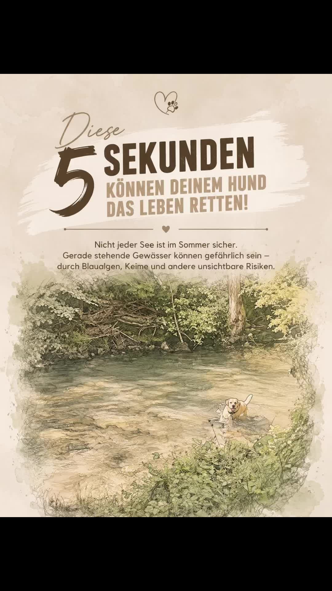 @Lenis-Hundewelt 🐾🐾