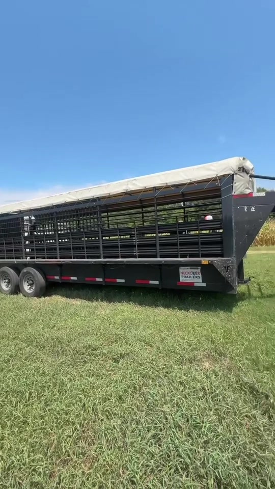 @tripleclivestock