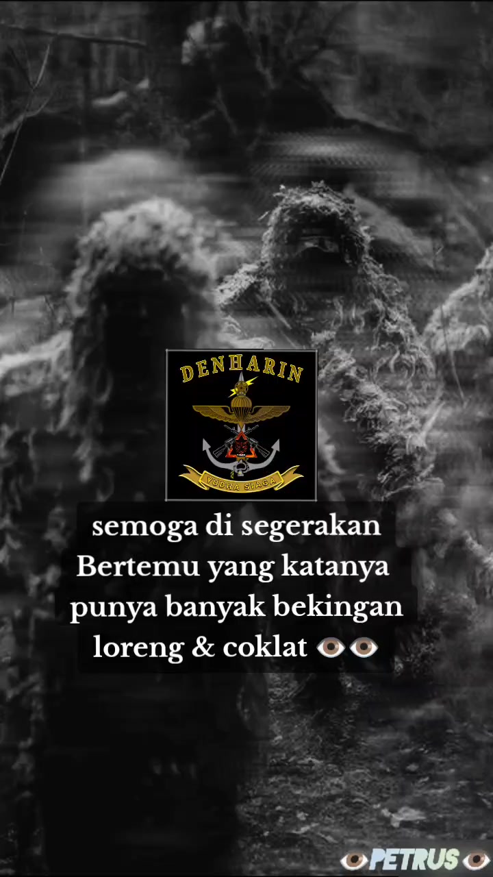 @▄︻̷̿┻̿petrus═━一