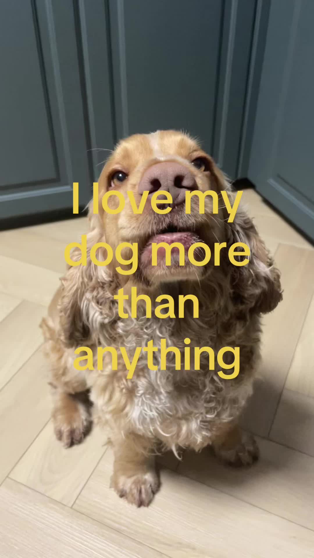 @en