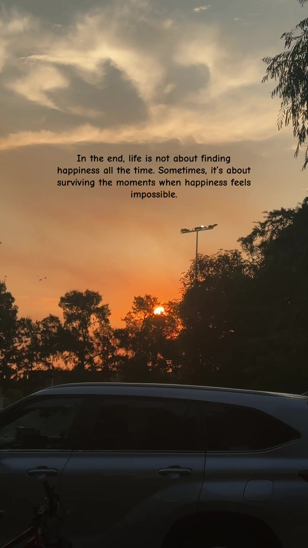 @Old_Soul🌸🌼🍂