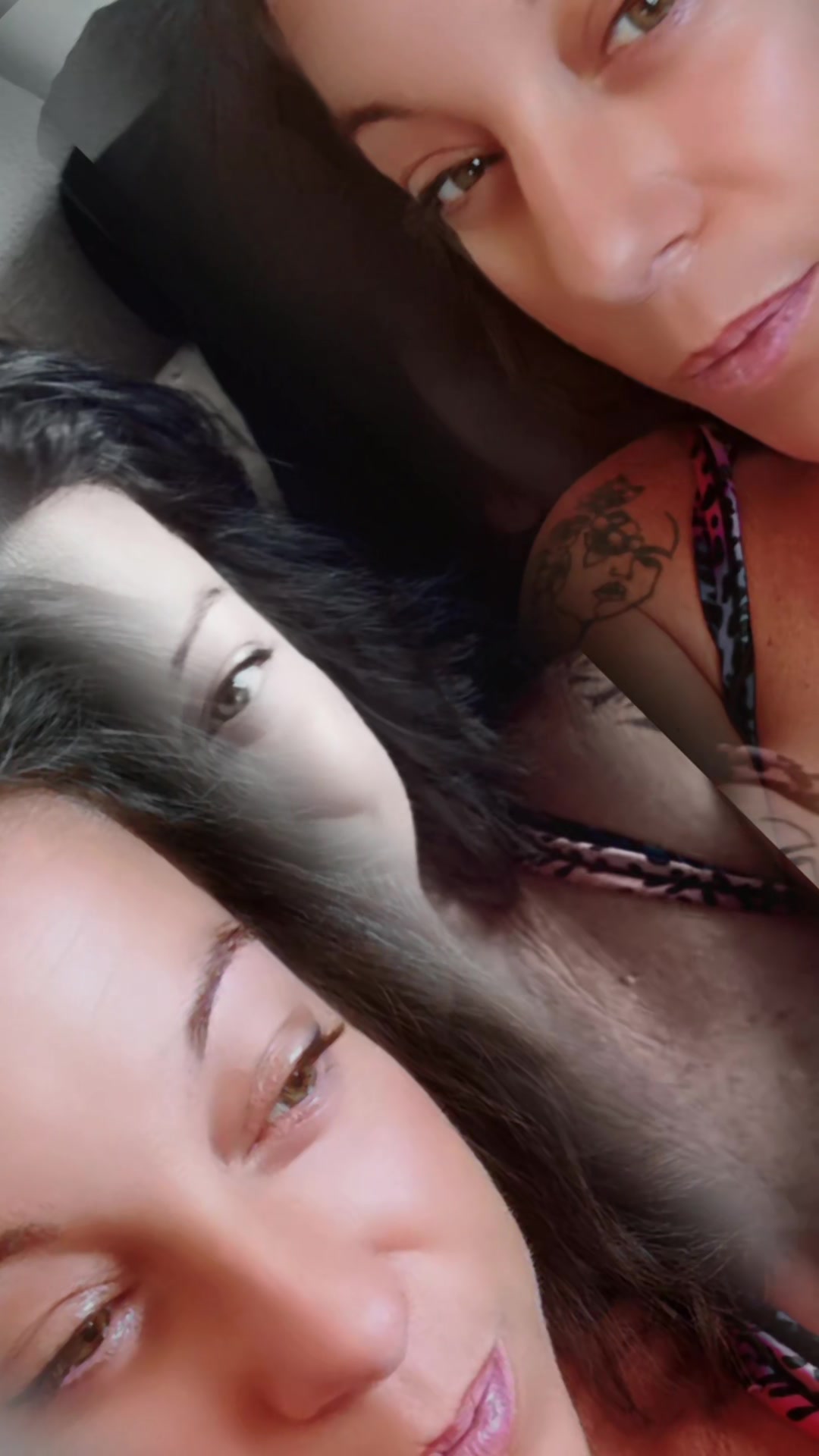 @fofy